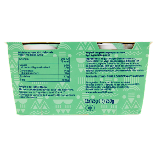 Arborea A-Yo Yogurt Zero Grassi Agrumi in Pezzi 2 x 125 g