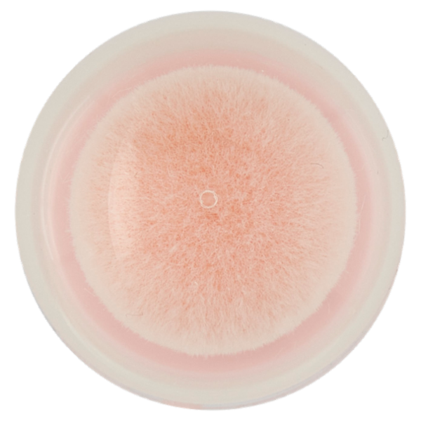 Maybelline New York Instant Perfector 4-in-1 Glow 00 Fair Light 20 ml