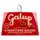Galup il Panettone Goloso con Glassa alle Nocciole 750 g