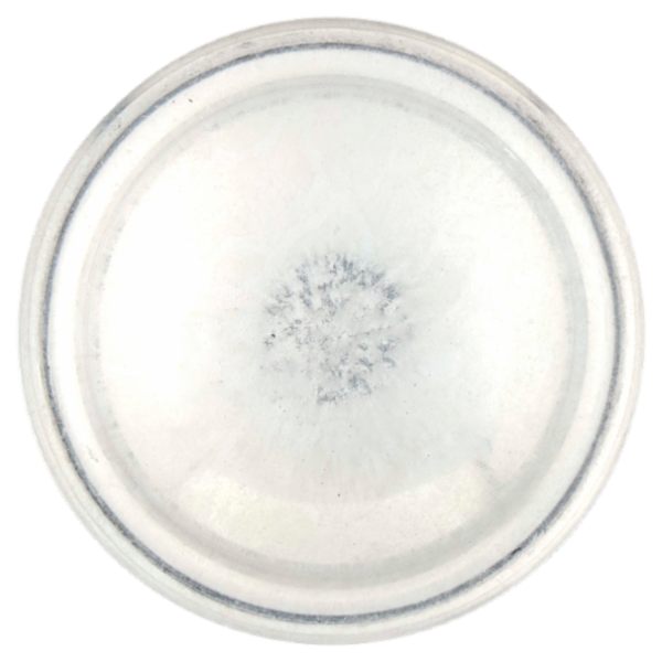 Armonia & Benessere Spuma Ricci 200ml