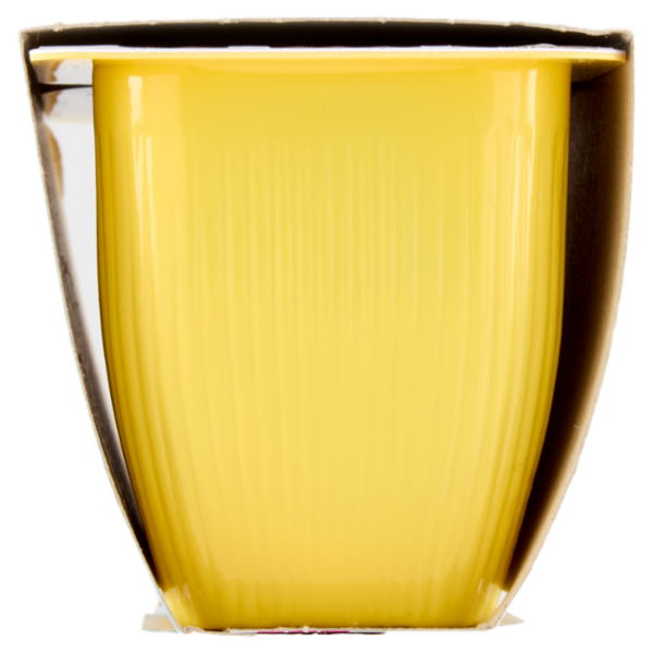 Valsoia Bontà e Salute la Crème Vaniglia 2 x 115 g