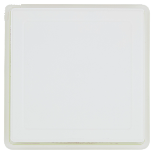 GelatoMadre Pistacchio 350 g