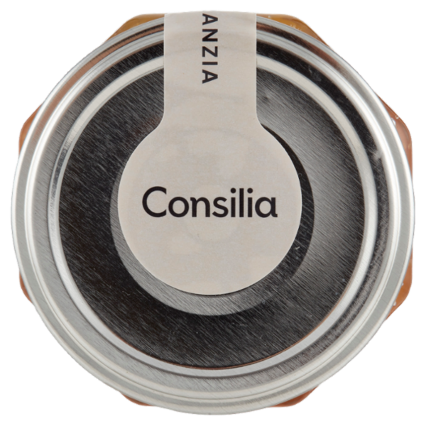 Consilia 100% da Frutta Albicocche 330 g