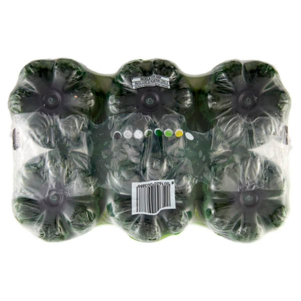 San Benedetto Thè Verde & Cactus 6 x 1,5 L