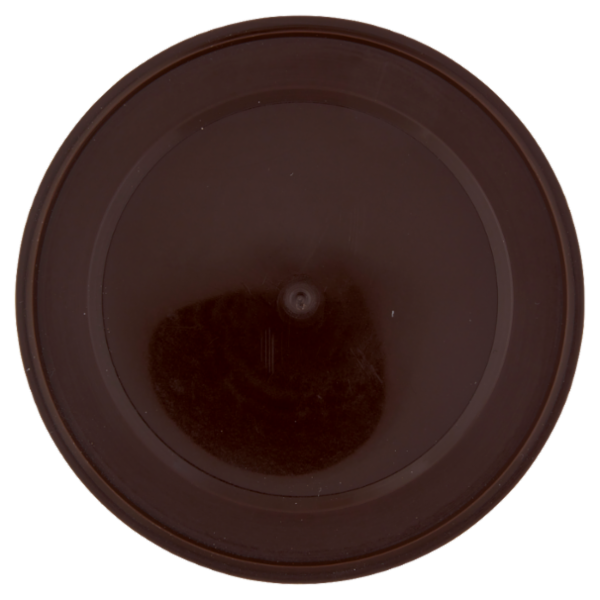 Crastan Bio Cicoria Tostata e Macinata 350 g