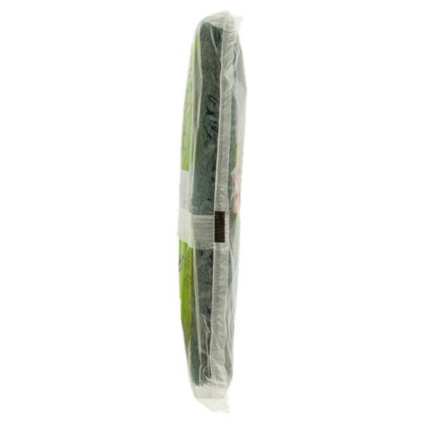 Scotch-Brite Classic Scrub Pad XXL 2 pz