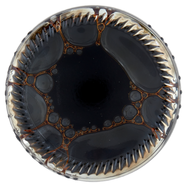 Consilia Aceto Balsamico di Modena I.G.P. Biologico 250 ml