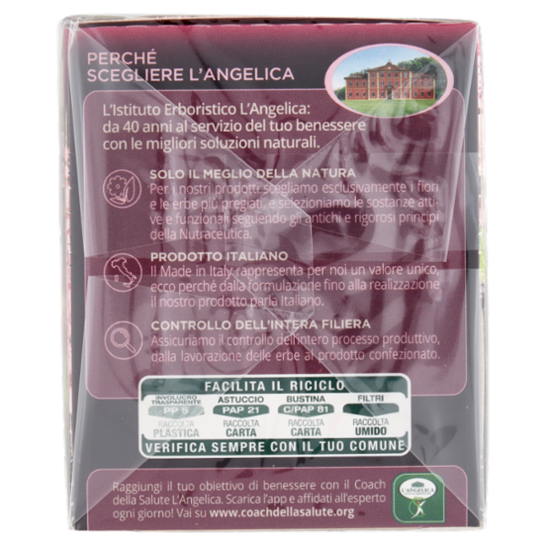 L'Angelica Japanese Ritual Tea Tè Houjicha Aromatizzato Mora e Fiori di Ciliegio 15 Filtri 22,5g