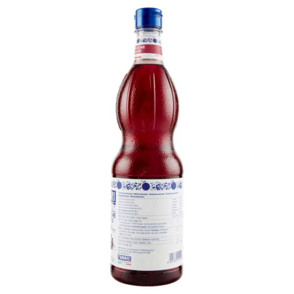Fabbri MixyBar Fiori e Bacche di Sambuco 1 L