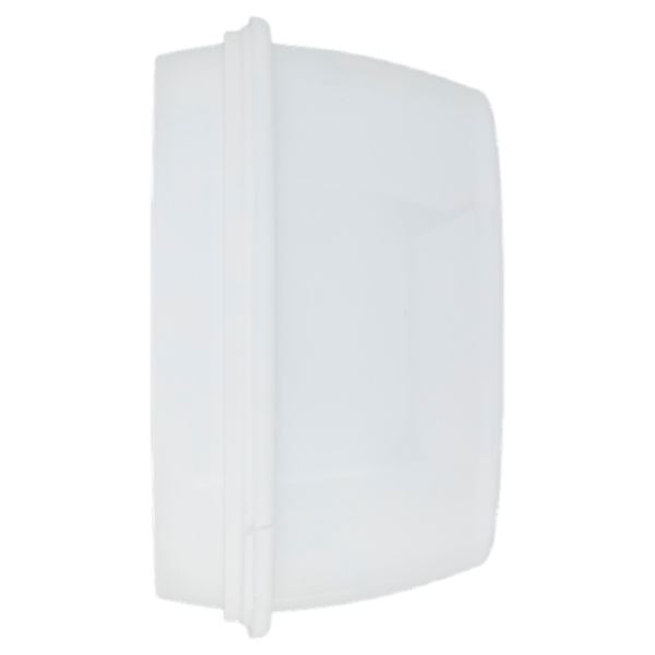 Selex Gelato Fragola e Limone 500 g