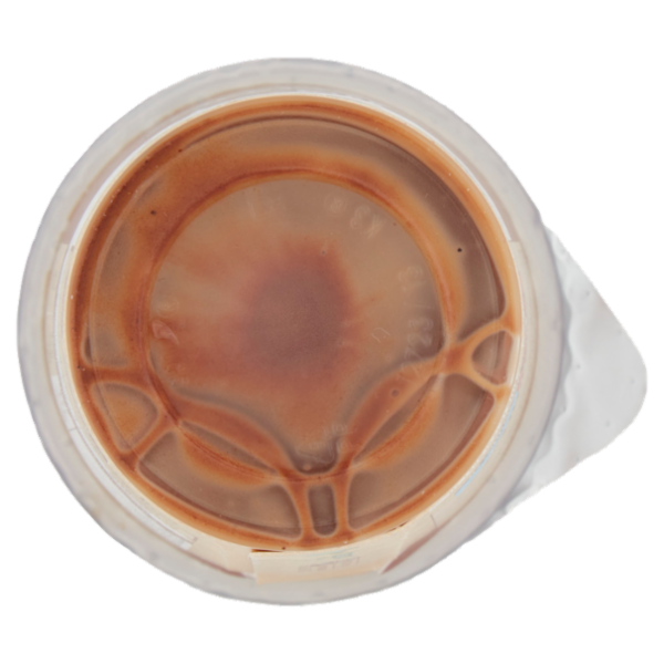 NESCAFÉ Latte Gusto Cookies 190 ml