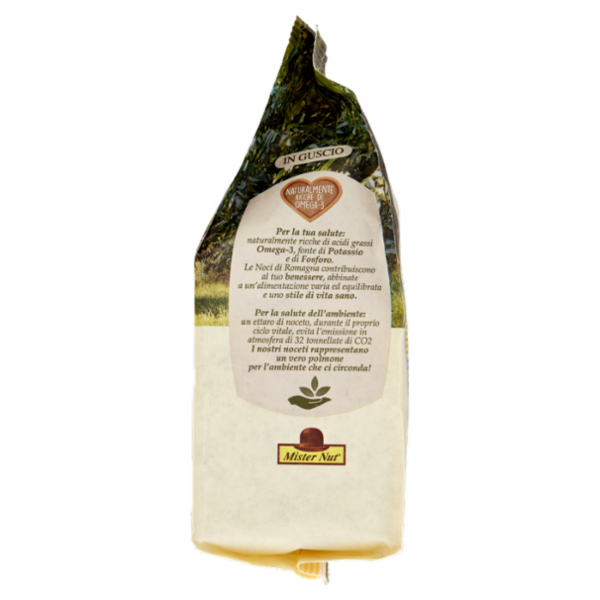 Mister Nut Noci di Romagna in Guscio 500 g