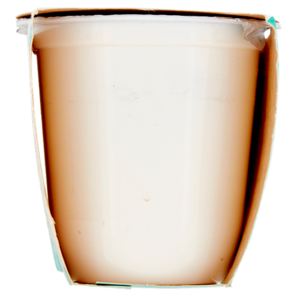 Granarolo Yogurt Cremoso alla vaniglia 2 x 125 g