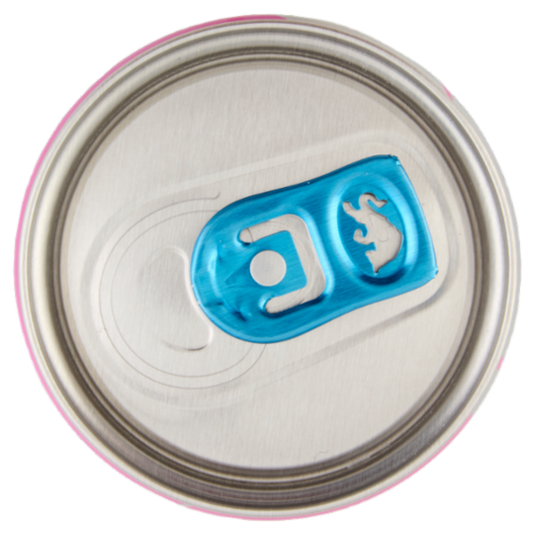 Red Bull Energy Drink, Gusto Frutti di Bosco, Senza Zuccheri, 250 ml