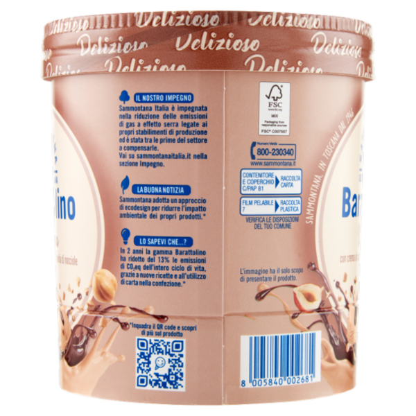 Sammontana Barattolino Delizioso Nocciola 500 g