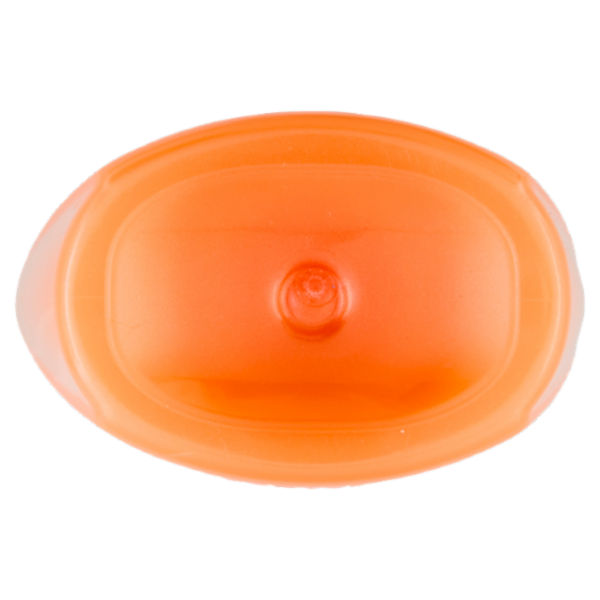 Elvive Dream Long Shampoo Ricostruttore, per Capelli Lunghi e Lisci, 300 ml