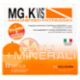 MG.K Vis Magnesio-Potassio Sali + Minerali 12 x 4 g
