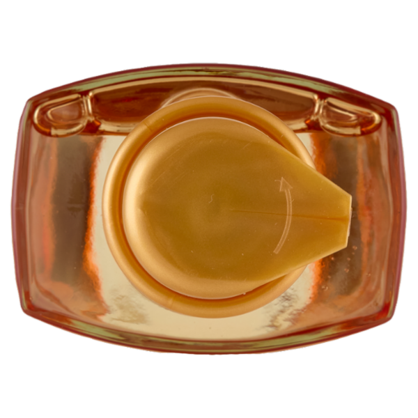 Elvive Olio Straordinario Sublimatore del Capello, per Capelli Secchi, 100 ml