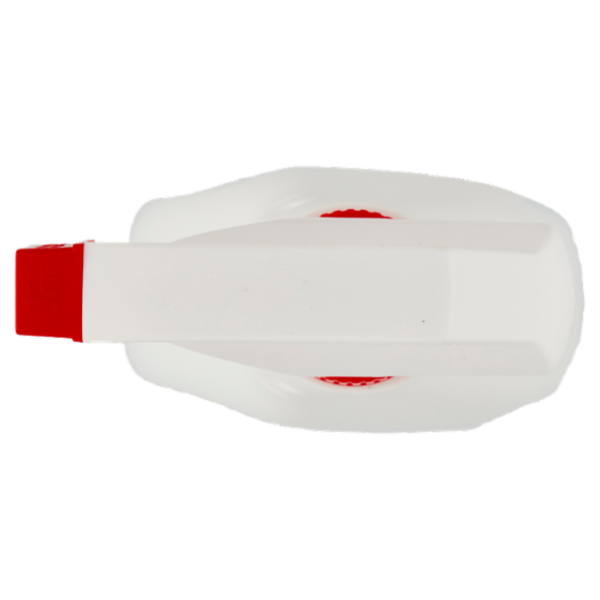 Consilia Detergente per Bagno Casaform Disinfettante 750 ml