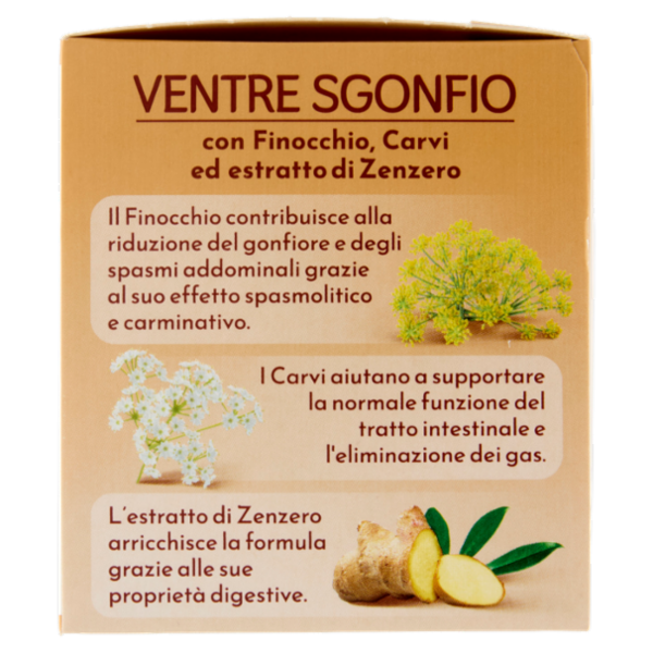 Bonomelli Ventre Sgonfio Tisana per Infusione 16 Filtri 32 g