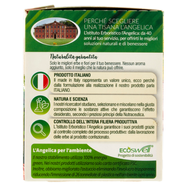 L'Angelica Le Tisane Ventre Piatto Active 18 Filtri 36 g