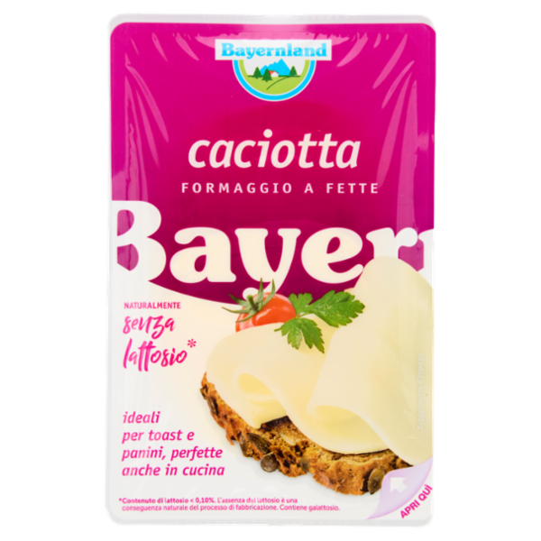 Bayernland caciotta Formaggio a Fette 100 g