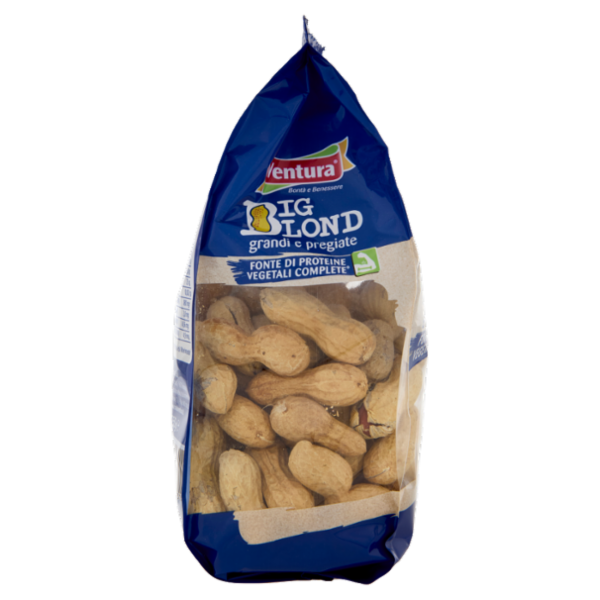 Ventura Big Blond Arachidi in Guscio Tostate 250 g