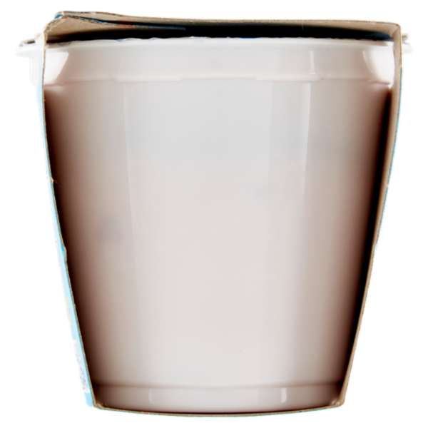 bella vita free Yogurt Magro Senza Lattosio Zero Grassi Fragole e Fragoline di Bosco 2 x 125 g