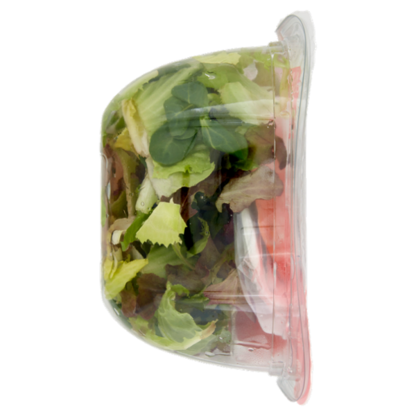 OrtoRomi Pausa Pranzo Caprese con mozzarelline e pomodorini 145 g