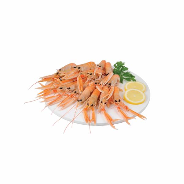 Scampo 8/12 pz decongelato