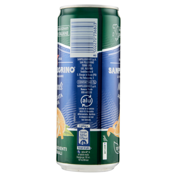 SANPELLEGRINO Naturali Aranciata Amara 33 cl