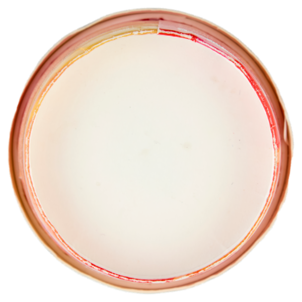 Pastiglie Leone Spritz Sorbetto 320 g