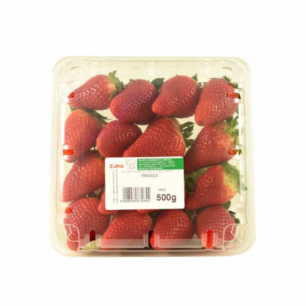 FRAGOLE MONOSTRATO 500G.