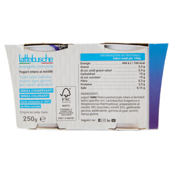 lattebusche yogurt Mirtilli 2 x 125 g