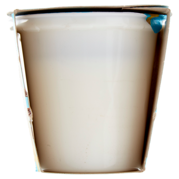 Latteria Brunico Yogurt Magro Zero Grassi Vaniglia 2 x 125 g