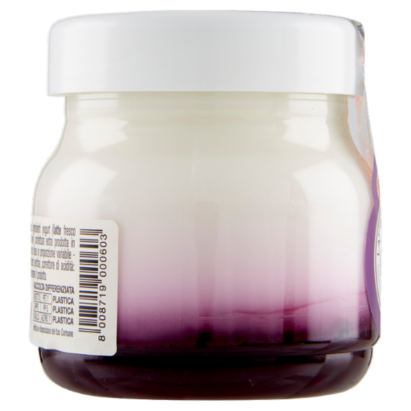 AlpiYò Yogurt di Valtellina Intero con confettura extra di Frutti di Bosco 125 g