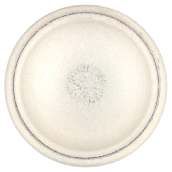 Gillette Series Schiuma da Barba Lenitivo 200 + 50 ml Gratis*