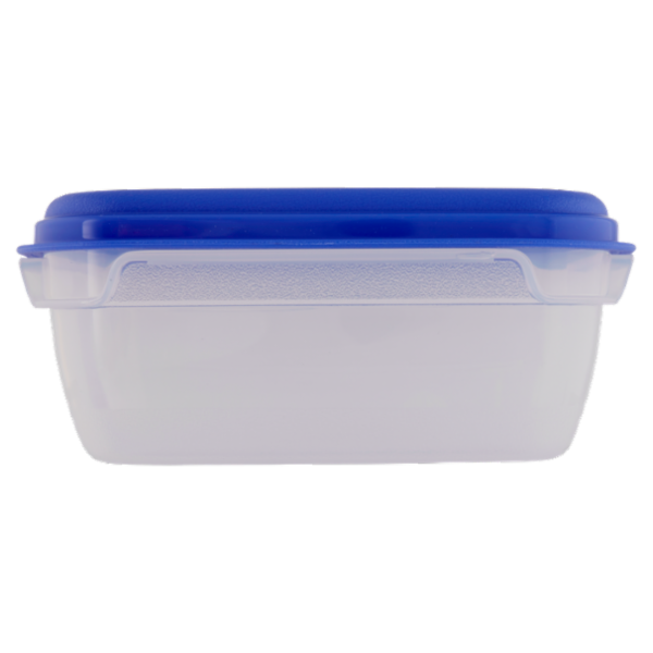 Consilia Saper Scegliere Contenitore Quadrato con Valvola Fresh Wave 1,75 l