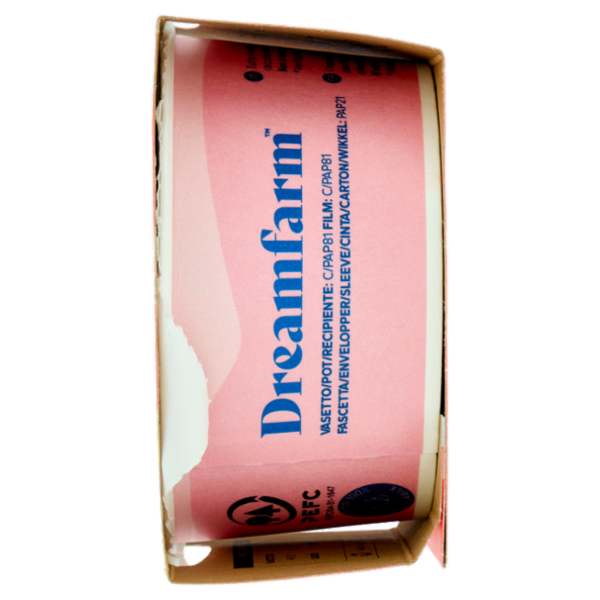 Dream farm Stracciatella 100% Vegetale 120 g