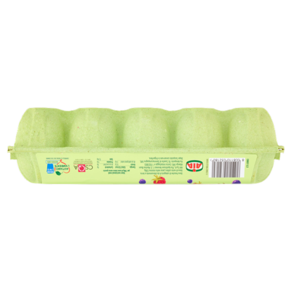 Aia 10 Uova Fresche da allevamento a Terra 530 g