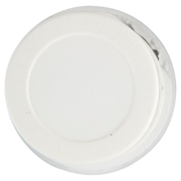 Centrale del Latte di Roma Zero Grassi Yogurt Magro Bianco 500 g