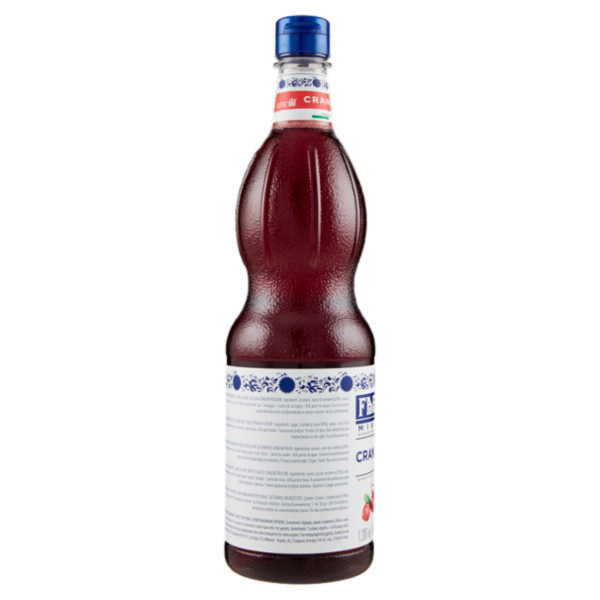 Fabbri Mixy bar Cranberry 1 L