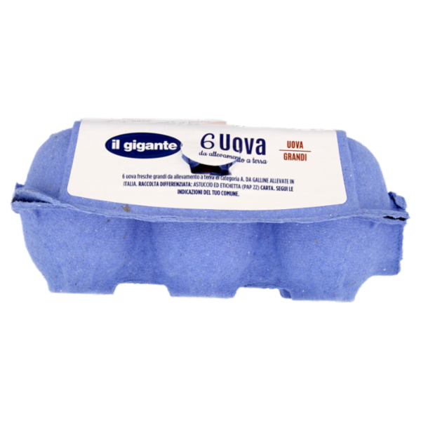 IL GIGANTE 6 Uova da allevamento a terra Uova Grandi