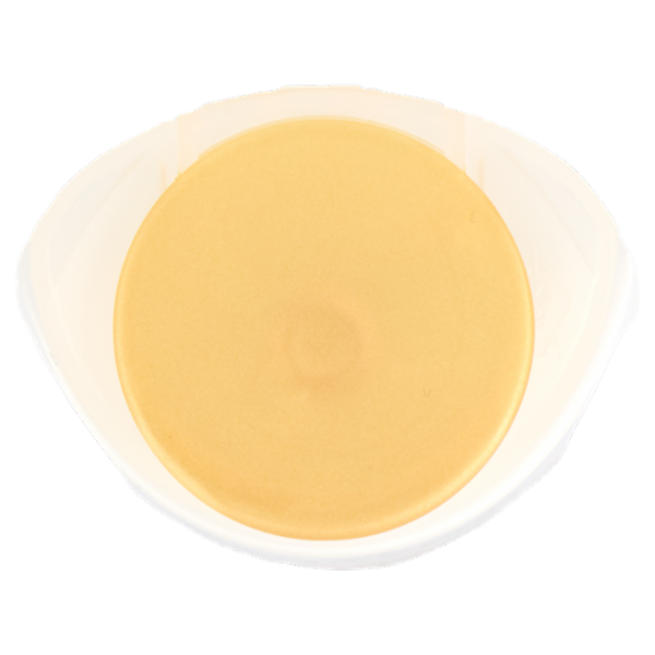 Pantene Pro-V Rigenera e Protegge Shampoo Active Nutri-Plex 90 ml