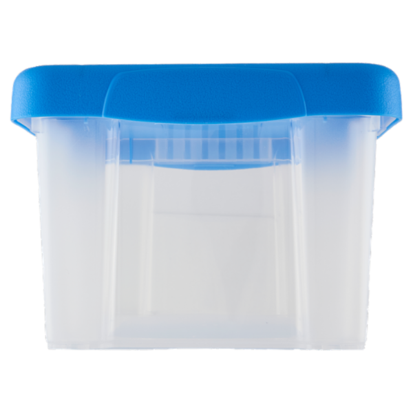 Selex Contenitore con Coperchio a Scatto Azzurro 5 L