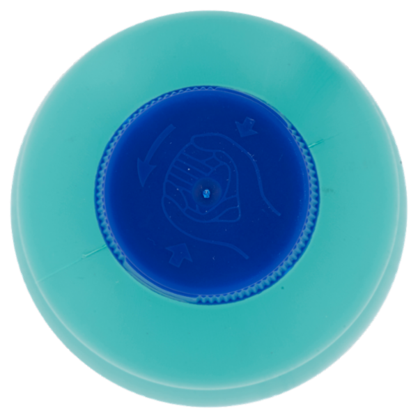 Selex Casa Bella Ammoniaca Profumata 1 L