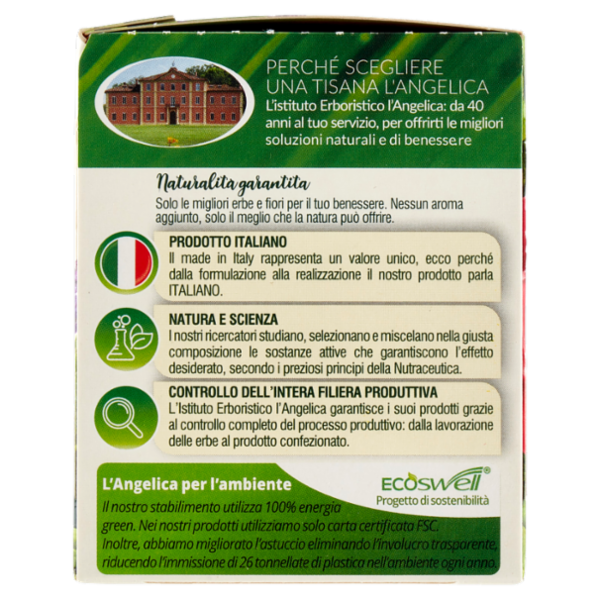 L'Angelica Le Tisane Linea Slim Active 18 Filtri 34,2 g