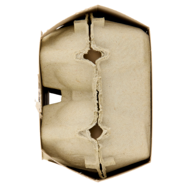 Consilia 6 Uova Fresche Grandi da Allevamento a Terra