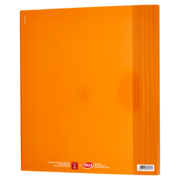 Selex Raccoglitore Ad Anelli Formato A4
