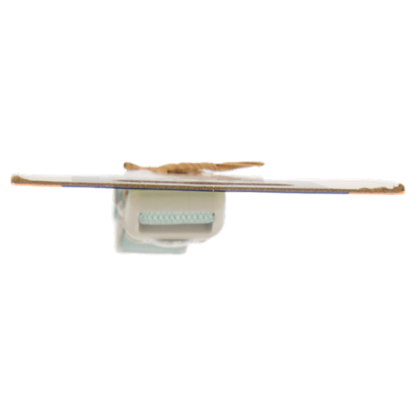 Vitakraft Accessory Collare nylon Everyday S 1 pz